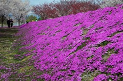 立谷川河川敷公園　２