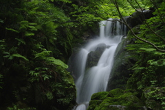 龍門の滝・女滝