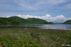 雄国沼湿原　Ⅱ