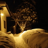 雪国　１