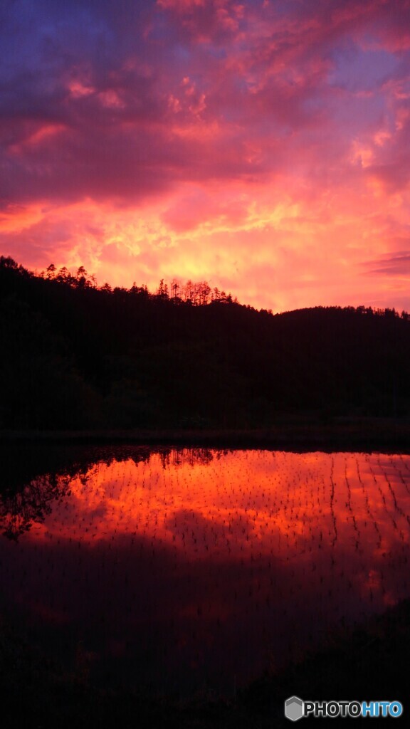 今日の夕焼け