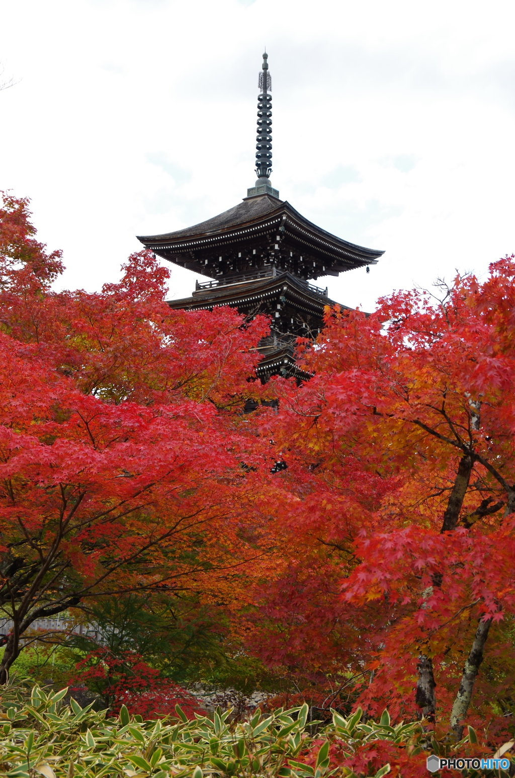 定義如来西方寺・五重塔　1