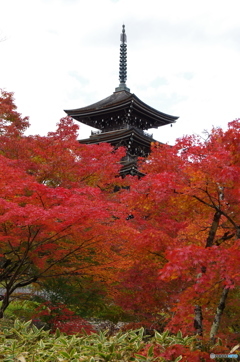 定義如来西方寺・五重塔　1