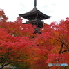 定義如来西方寺・五重塔　1