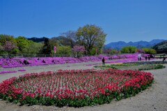 河川敷公園