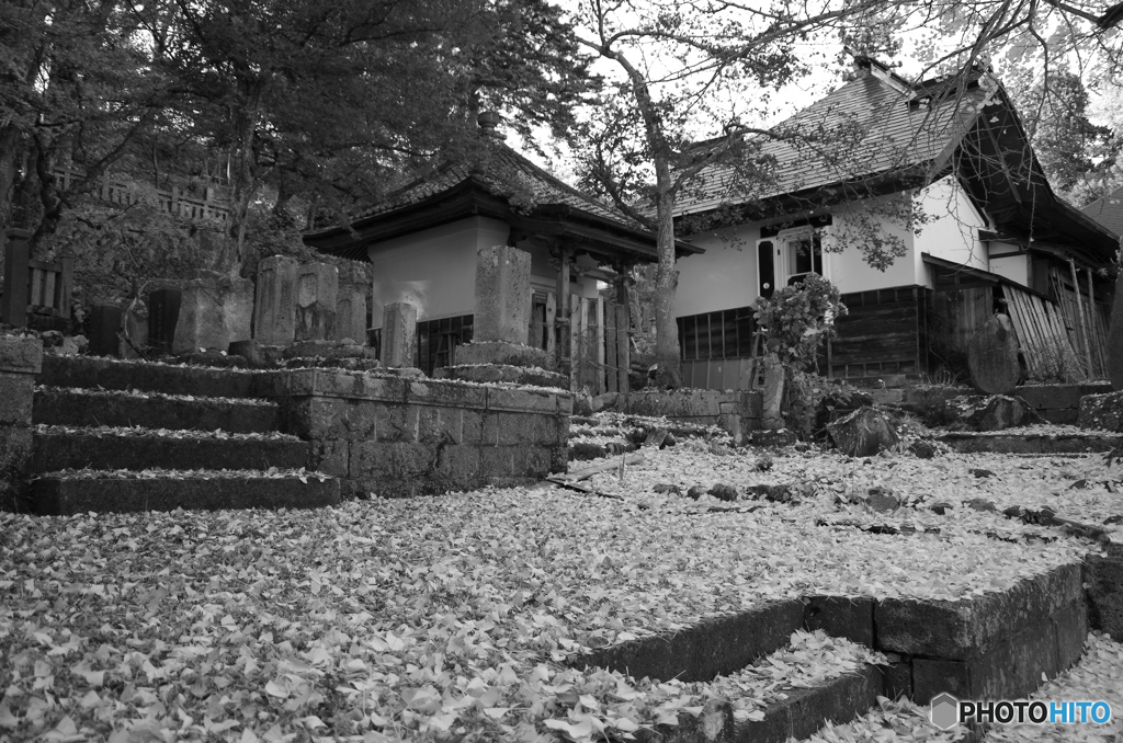 鶴布山珍蔵寺