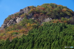 通称　ゴリラ山