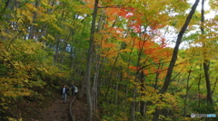 中津川渓谷探勝路