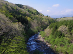 新緑の横川渓谷