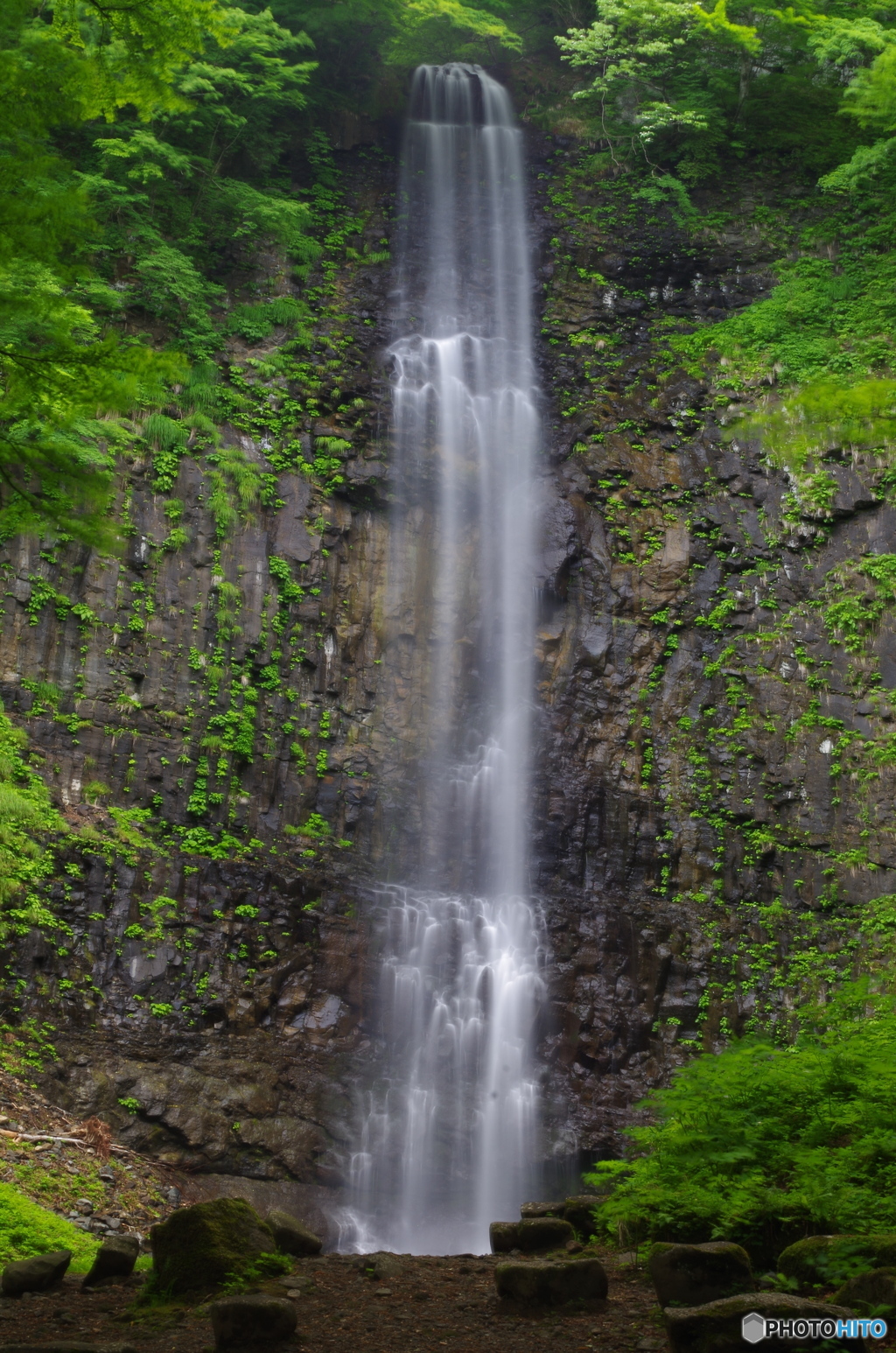 直暴