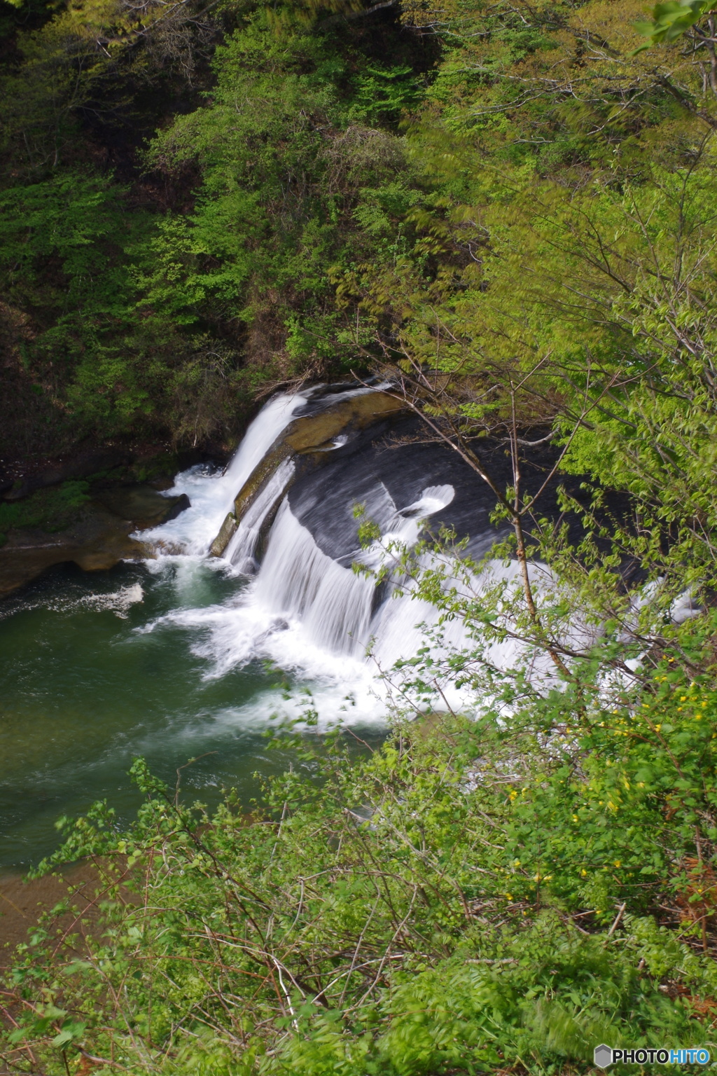 新緑の滝