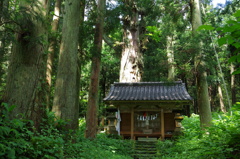 再建の神社