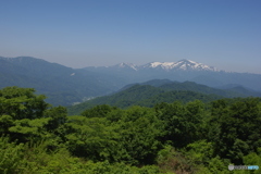 出羽三山の主蜂・月山