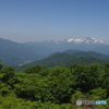 出羽三山の主蜂・月山