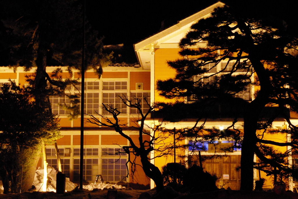 松の木のバックに映える長井小学校