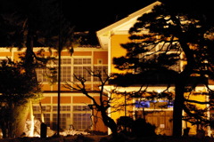 松の木のバックに映える長井小学校