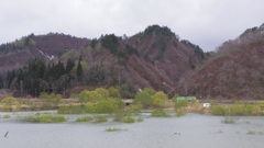 魅力的な御山