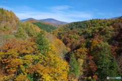 紅葉が進む磐梯吾妻