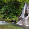 千太滝　１(せんだ滝)