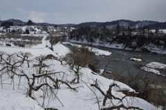 林檎の故郷と最上川
