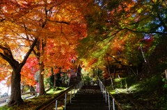 夕鶴の里珍蔵寺　紅葉　⑤