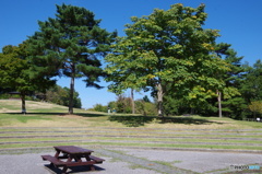 公園でひと休み
