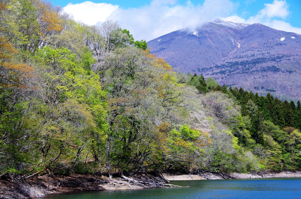 新緑の山と不忘山