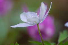 げんきにそだってね～