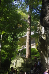 仁王門　　in   yamadera　