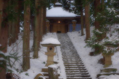 裏山の雪囲をした御薬師様