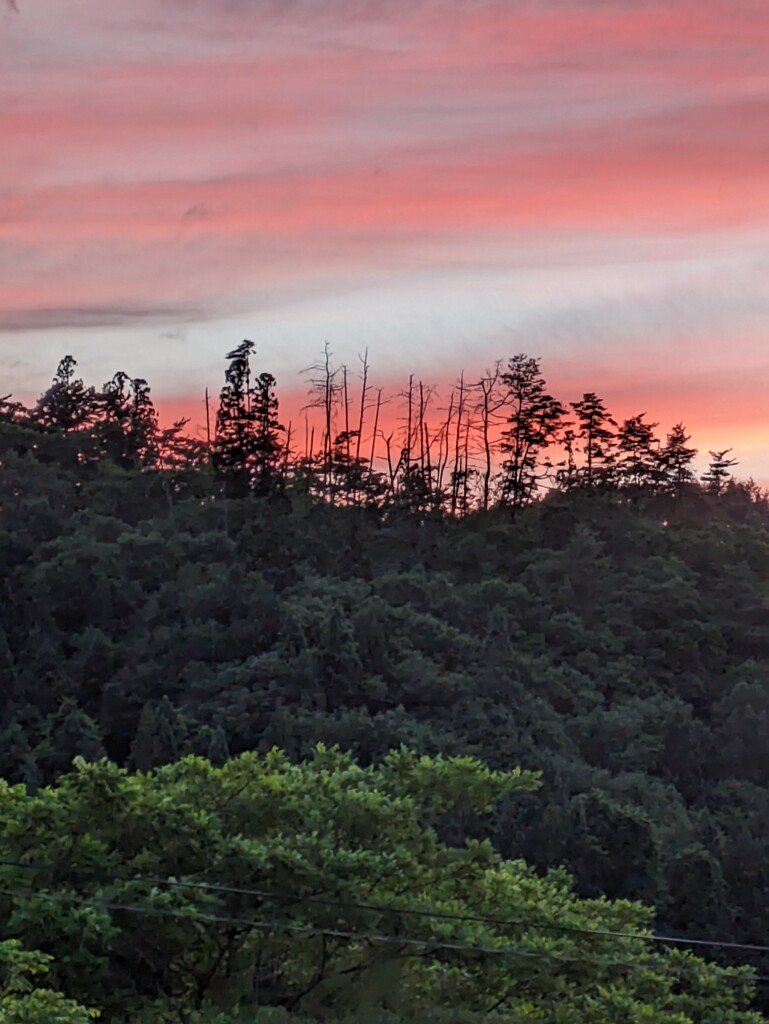 夕焼け