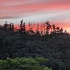 夕焼け