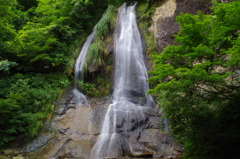 絹糸の滝　１　