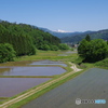 田園風景