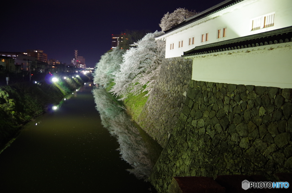 夜桜・ライトアップ  in  霞城　１