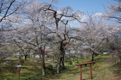 古峯神社の鳥居