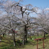 古峯神社の鳥居