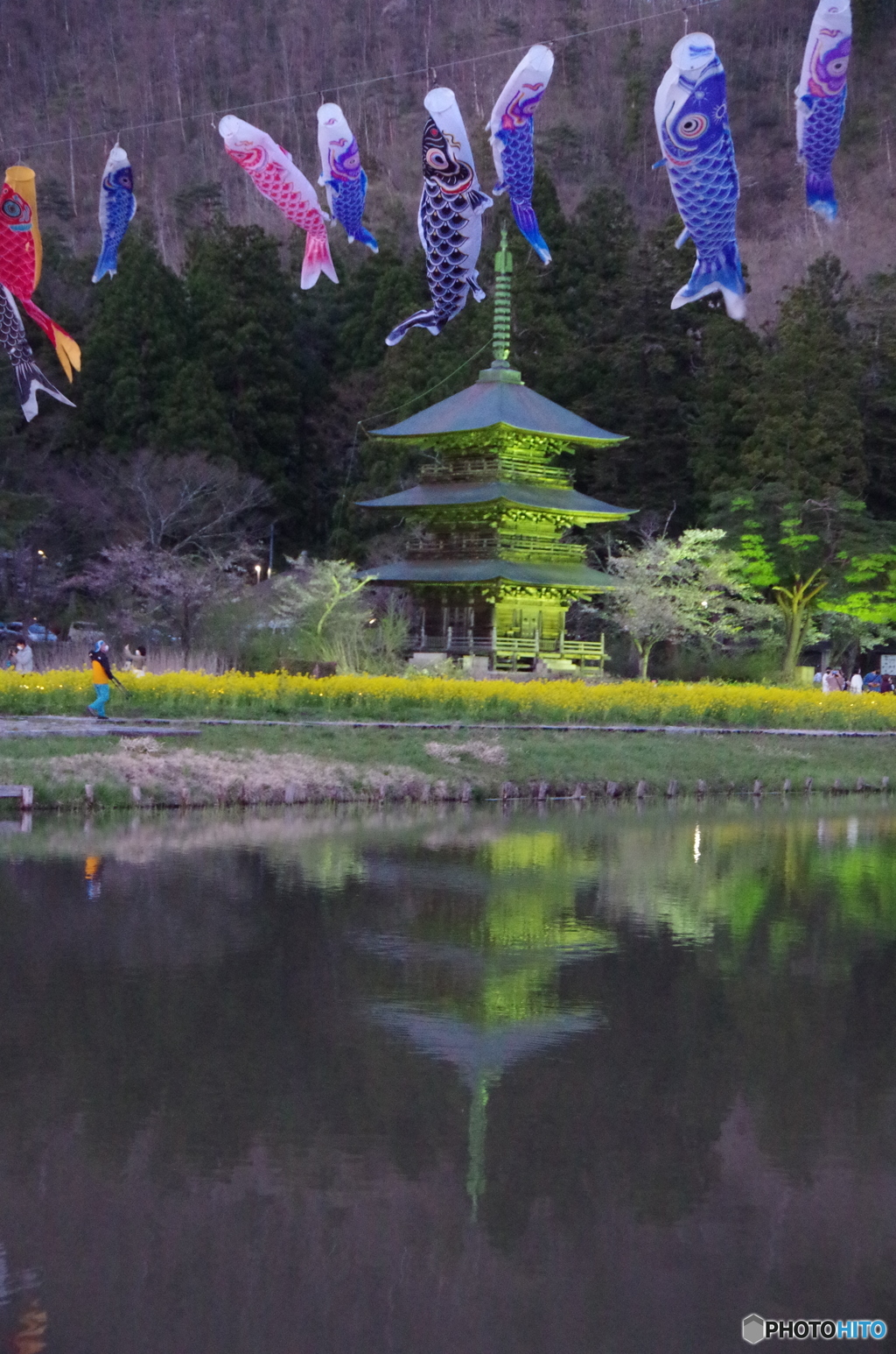 阿久津八幡宮ライトアップ