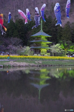 阿久津八幡宮ライトアップ