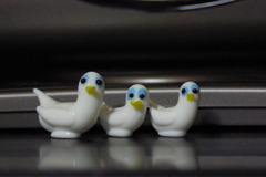 仲良くおさんぽ