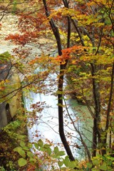 紅葉の間から見る水しぶき