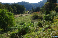 山ある風景