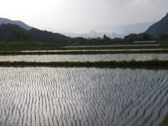 夕立ちの前ぶれ