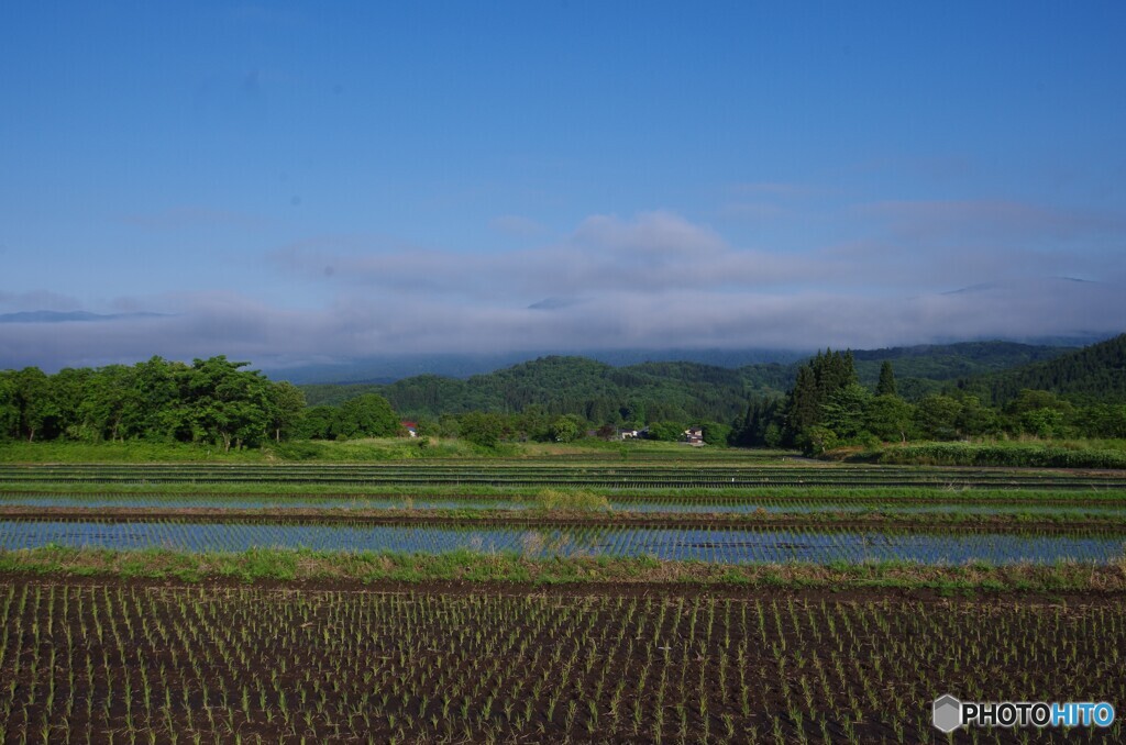 めぐみの大地