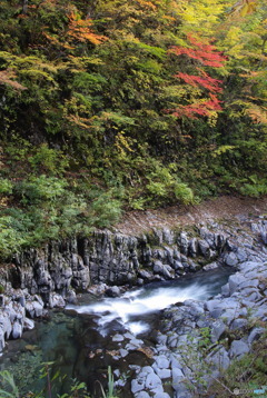 晩秋の中津川渓谷