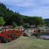東沢バラ公園