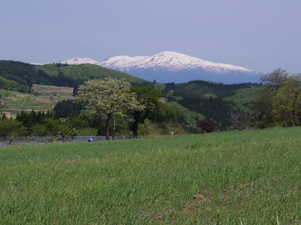 主峰・月山