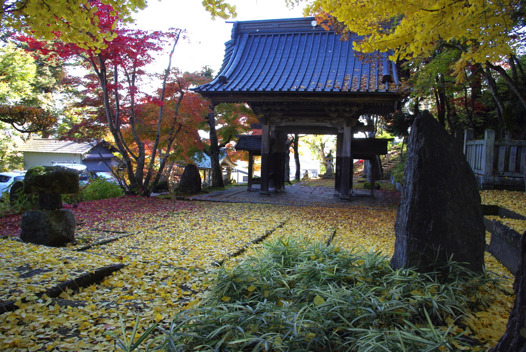 鶴布山珍蔵寺・中庭