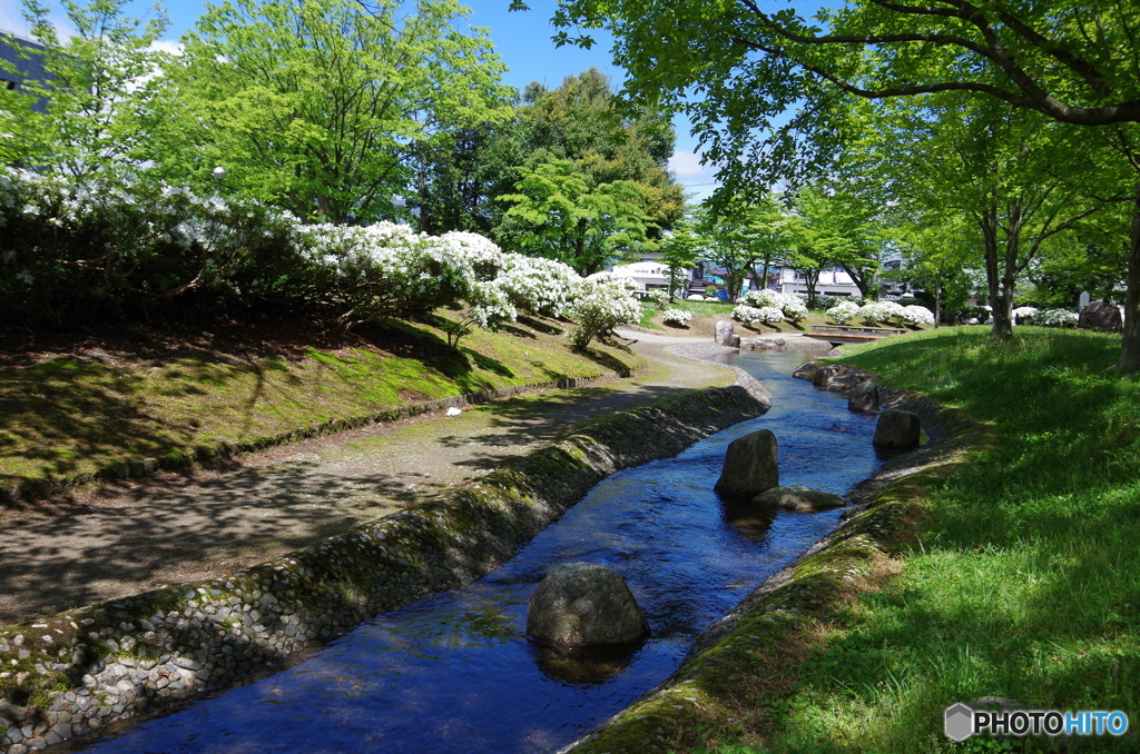 水と緑と花のまち・ながい　「白つつじまつり」　「黒獅子まつり」
