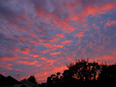 空